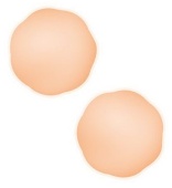 Телесные силиконовые наклейки на соски NIPPLE COVERS SILICONE Телесные силиконовые наклейки на соски NIPPLE COVERS SILICONE