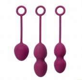 Набор из 3 вагинальных шариков Svakom Nova Ball фиолетовый
