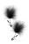 Зажимы на соски с черными пуховыми кисточками Sweet Caress Feather Nipple Clumps Зажимы на соски с черными пуховыми кисточками Sweet Caress Feather Nipple Clumps