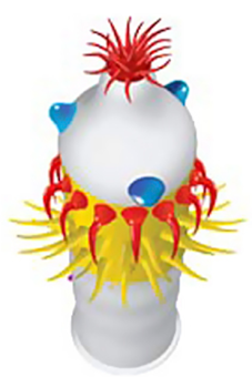 Презерватив Luxe maxima Контрольный выстрел с усиками и шариками  - 1 шт