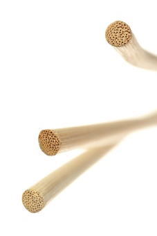 Розги из лозы ToyFa Theatre