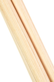 Розги из лозы ToyFa Theatre